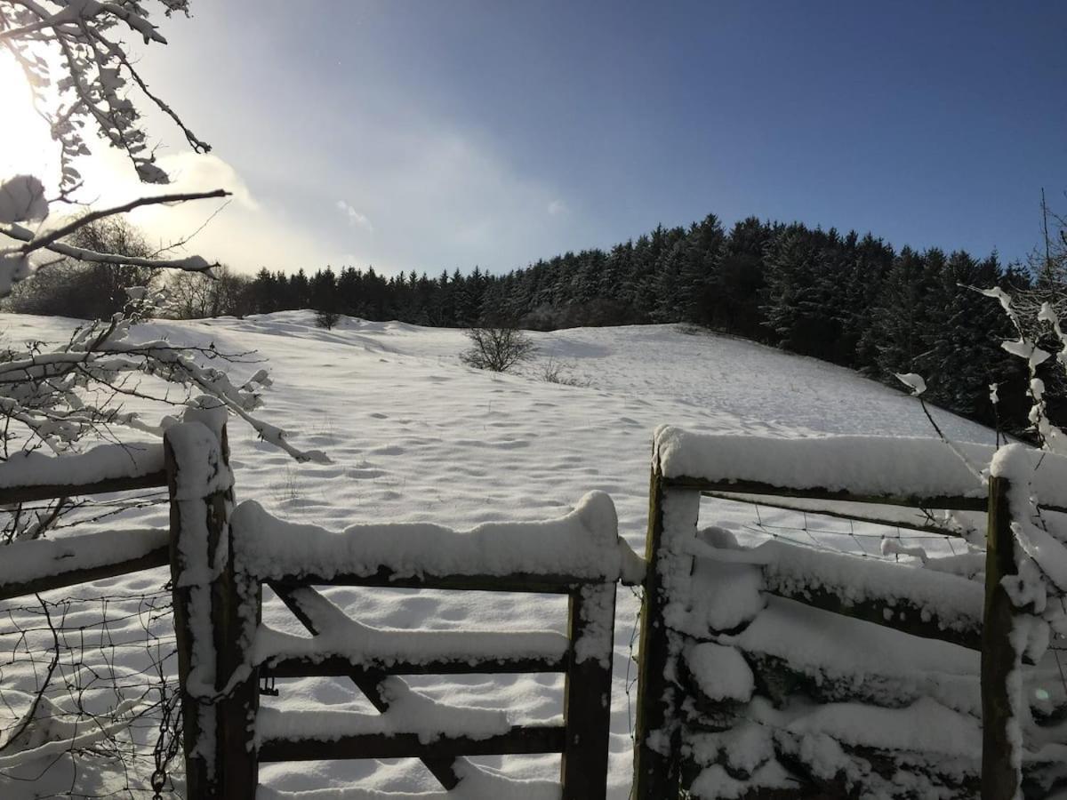 The Barn At Pentregaer Ucha, With Tennis Court And Holiday home Oswestry